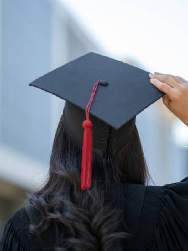 Global Institute of Project management